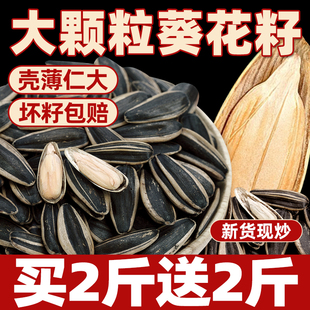 瓜子葵花子炒货原味2025新货特大颗粒追剧解馋小零食品官方旗舰店