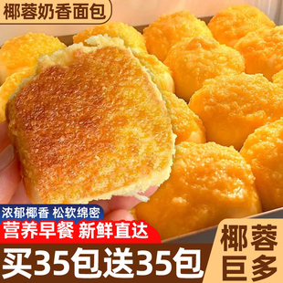 椰蓉奶香面包整箱早餐营养学生手撕蛋糕健康糕点心休闲零食品小吃