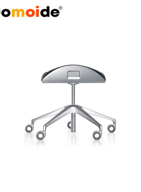 诺曼邸办公 设计师家具 INTERSTUHL SILVER脚踏