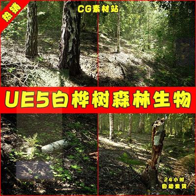 UE5 MW Paper Birch Trees Forest Biome白桦树森林生物群系场景