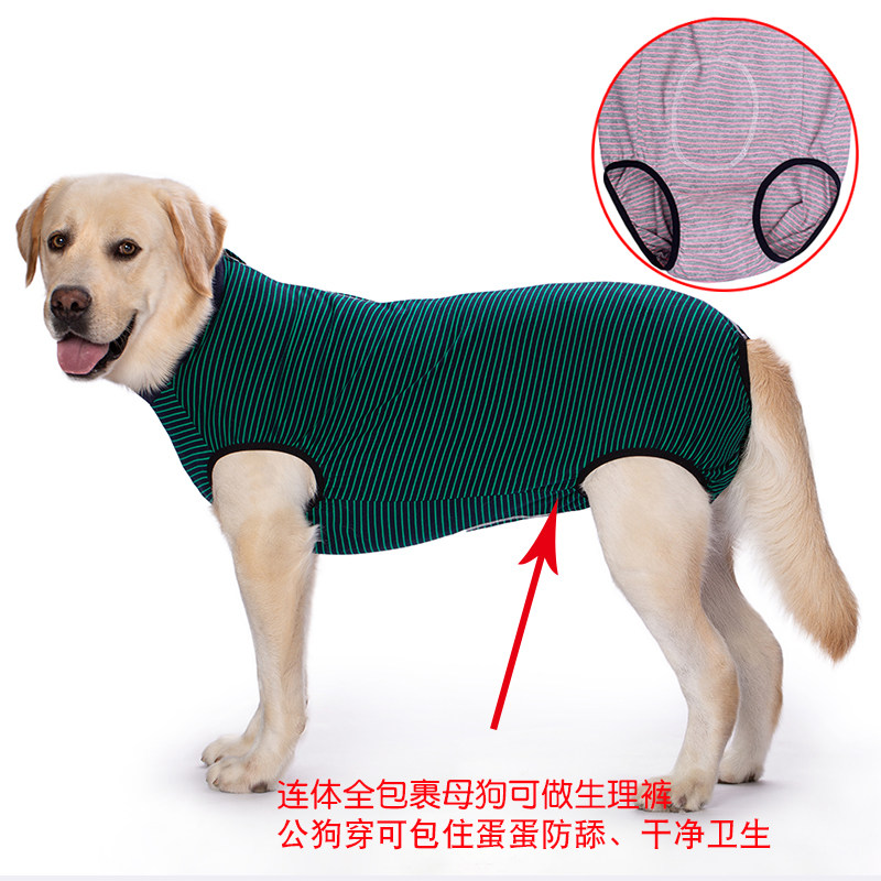 母狗狗连体生理裤姨妈裤防骚扰防乱尿四脚红条纹衣断奶服防舔纯棉