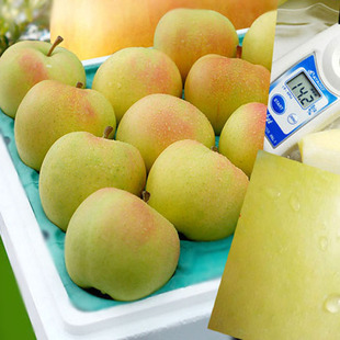 包邮 中果 正宗日本青森水蜜桃苹果非进口新鲜纯甜多汁12个