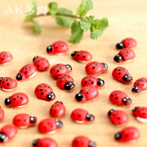 AK Fleshy flower Micro Landscape Decoration woodiness technology Beetle Coccinella Small Ladybugin the Flower delivery/Flowers simulation/Plants gardening , Gardening supplies , Other Garden Supplies  category - from Buy2taobao.com to provide professional Taobao agent buy service