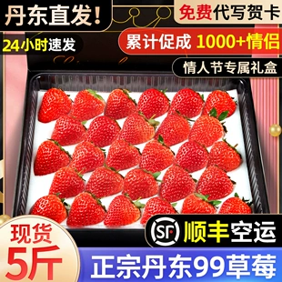包邮 丹东99草莓5斤新鲜水果红颜牛奶油九九应当季 3情人节礼盒顺丰
