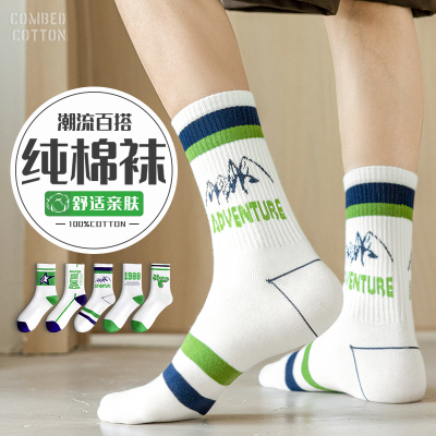 【100%棉】高颜值潮袜