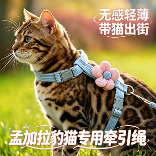 孟加拉豹猫专用小猫牵引绳猫咪宠物幼猫防挣脱外出背带牵猫的绳子