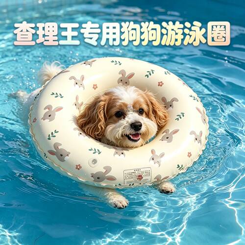 查理王专用宠物狗狗泳衣小型犬狗游泳圈泳圈装备小狗神器游泳衣的