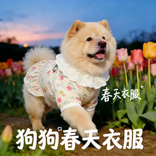 松狮犬专用狗狗衣服春装薄款全棉纱透气宠物小狗背心大型犬春夏天