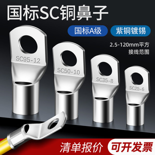 国标SC冷压端子窥口紫铜线鼻子端子头线耳电线压接头线端子铜鼻子