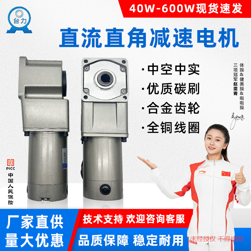 直流減速電機渦輪馬達