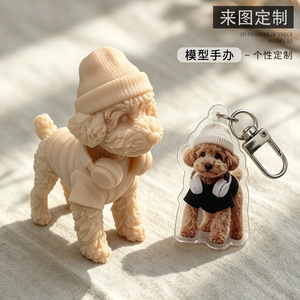 立体模型手办宠物照片来图定制