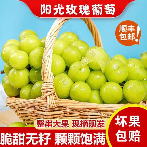 阳光玫瑰现摘现发无籽当季葡萄