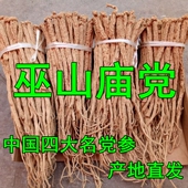 巫山庙党参多年生老党参250克川党上党泡酒料巫山特产