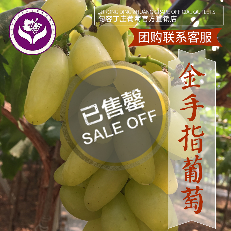 丁庄葡萄珍品金手指葡萄 新鲜水果 香甜细腻多汁绿色无污染5斤装