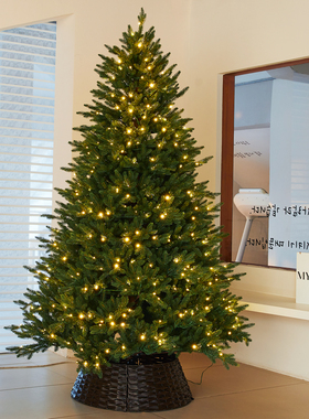 圣诞节氛围场景新款纯pe仿真圣诞树装饰品christmas tree家用摆件