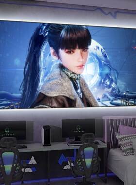 剑星伊芙二次元游戏周边发光挂画
