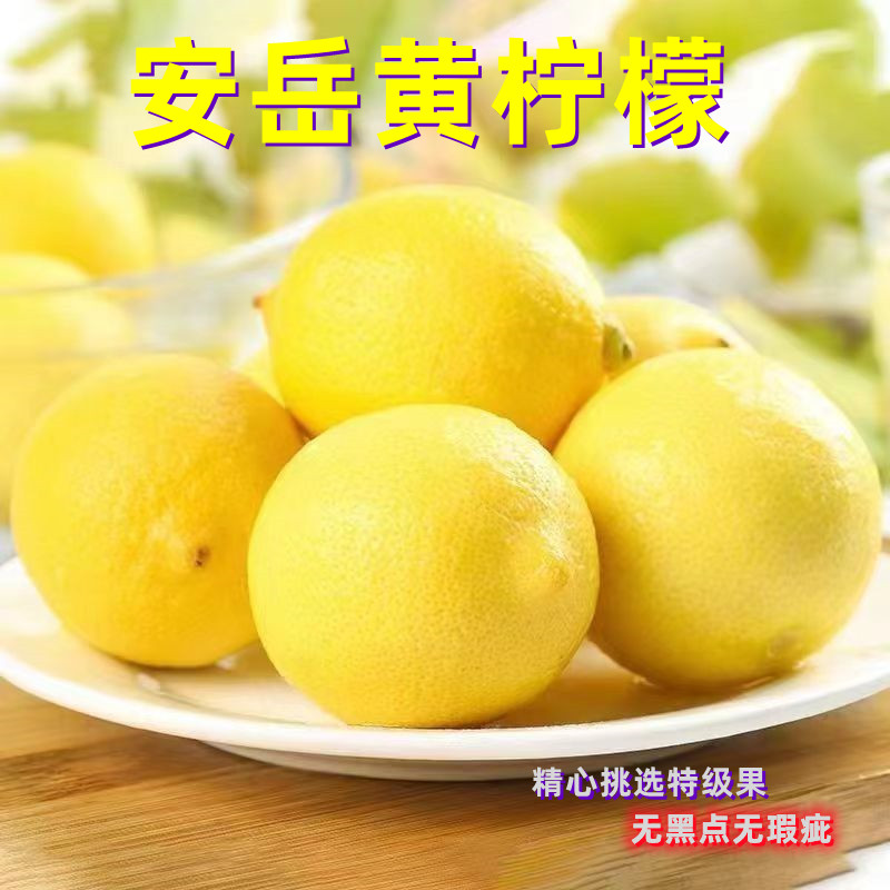 新鲜柠檬无蜡安岳薄皮多汁