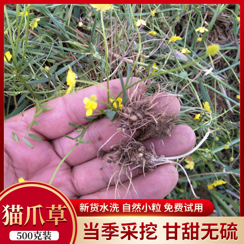 猫爪草正品新货野生水洗猫抓草小毛莨中药材手选散结500克 小编推荐 Wepost 全民代运 马来西亚中国淘宝代运与集运专家