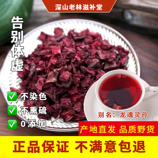 正宗云南深山野生龙血果火焰参玉蓉丹龙魂灵丹天灵果山货中草药