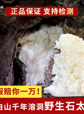 正宗长白山千年溶洞纯天然野生石太岁肉灵芝滋补养生泡水喝无添加