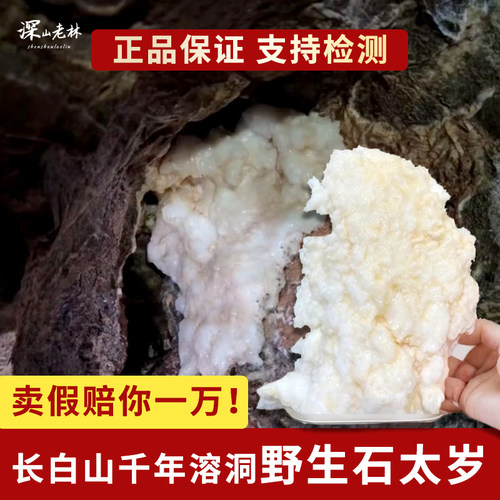 正宗长白山千年溶洞纯天然野生石太岁肉灵芝滋补养生泡水喝无添加