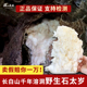 正宗长白山千年溶洞纯天然野生石太岁肉灵芝滋补养生泡水喝无添加