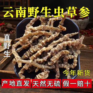云南特级虫草参地参干顶天柱野生竹节参干货地蚕石蚕地笋中草药材