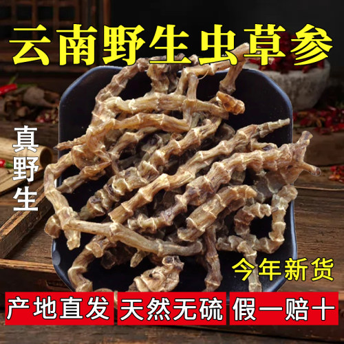 云南特级虫草参地参干顶天柱野生竹节参干货地蚕石蚕地笋中草药材