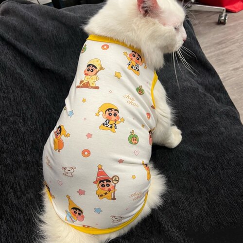 星星人蜡笔小新猫咪衣服春夏背心