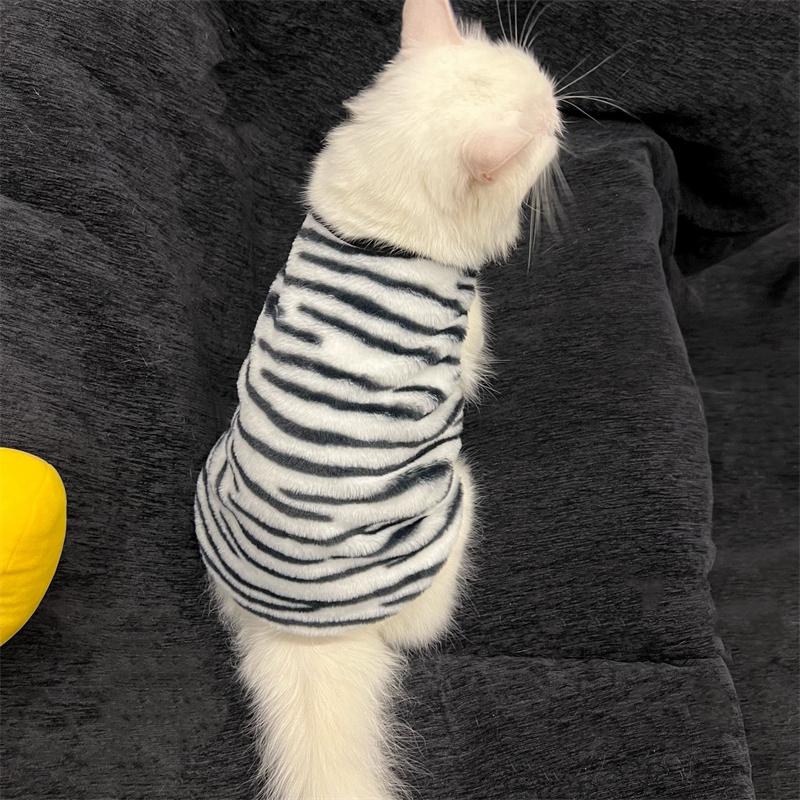 斑马纹宠物猫咪衣服秋冬季加厚法兰绒防脱不掉毛背心保暖防冻毛绒