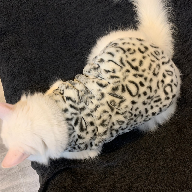 可爱豹纹猫咪衣服保暖背心式加绒