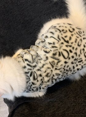可爱豹纹猫咪衣服保暖背心式加绒