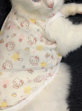 网眼纱布kt凯蒂猫宠物猫咪衣服夏季透气清凉背心式防掉毛防晒防虫