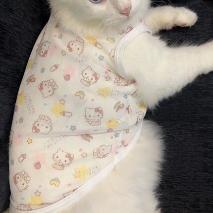 网眼纱布kt凯蒂猫宠物猫咪衣服夏季透气清凉背心式防掉毛防晒防虫