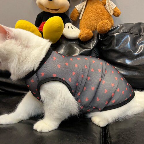 网状黑色宠物猫咪衣服夏季透气清凉无袖背心式防掉毛防晒防尘网布