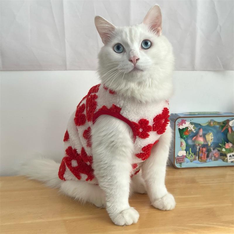 猫猫过年小红花宠物衣服