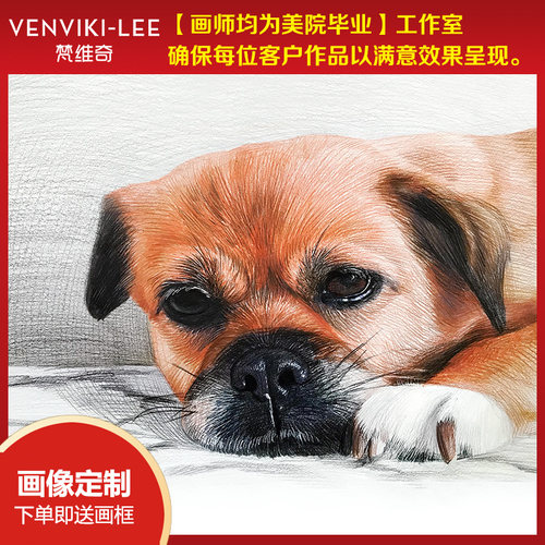 宠物画像定制狗狗肖像画头像照片纪念手绘素描画像彩铅代画原创 - 封面