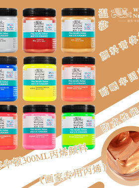 温莎牛顿画家专用丙烯颜料