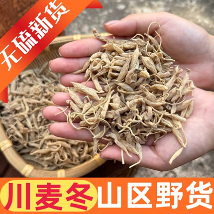 新货四川绵阳特级野生川麦冬正品无硫中药材干货可配玉竹泡水500g