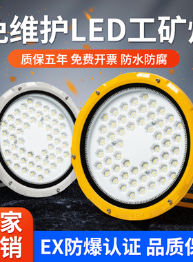 LED防爆灯免维护工厂车间照明灯防水防腐EX认证厂家直销