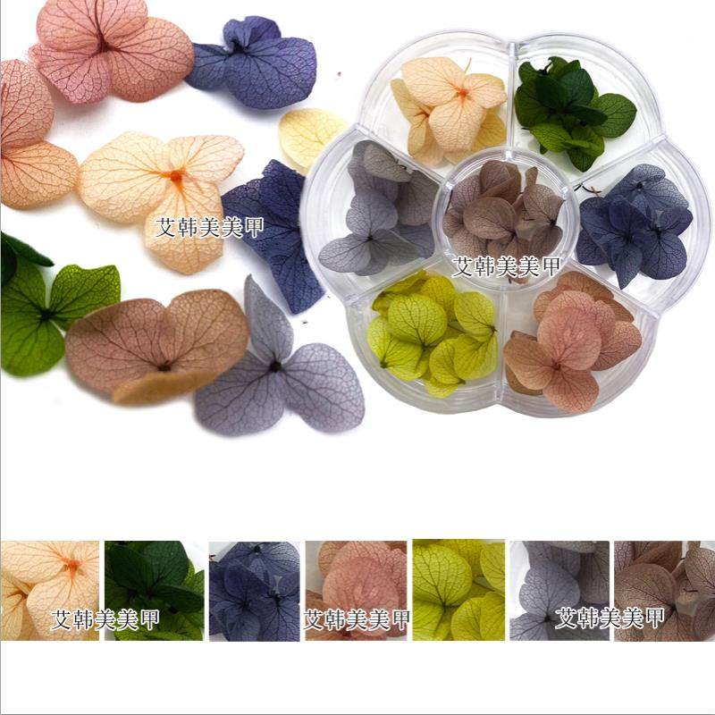 新款流行美甲日系干花永生花紫阳花彩色花瓣指甲装饰DIY饰品套装