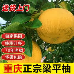 重庆特产正宗梁平柚70年老树龙滩柚现摘现发新鲜水果包邮