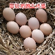 新鲜土鸡蛋鸡妈妈头窝蛋草鸡蛋初生蛋散养蛋雷奶奶 纯真土鸡蛋