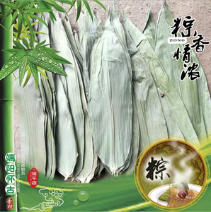新鲜烘干南北干货大粽叶野生大号纯野生天然宽粽叶 麻竹叶送粽绳