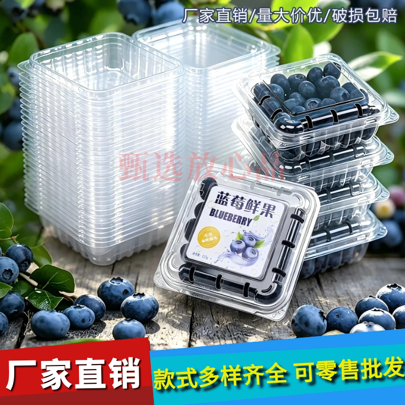 现货整箱一颗莓同款蓝莓盒125g贴纸透明塑料水果盒一次性蓝莓盒子