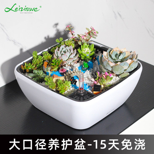 PP树脂简约自动吸水大口径花盆