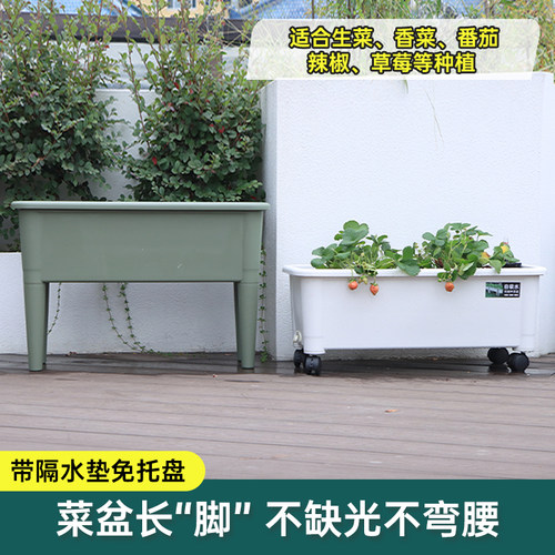 高脚大口径种植盆带轮宜滑动盆