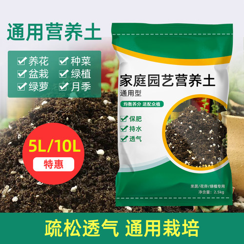 营养土通用型家用多肉种植土土壤