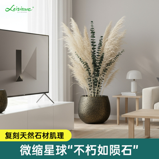 圆形大口径花盆轻奢高级感创意圆球形树脂盆发财树橡皮树客厅盆栽