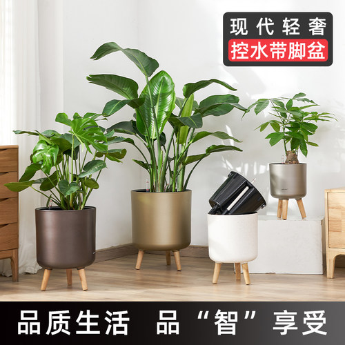PP树脂简约现代自吸水功能花盆